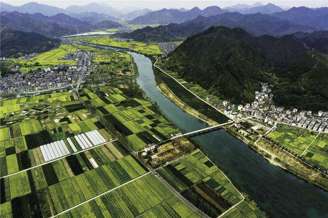 2045165936951894016.webp 图片