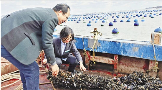 农行嵊泗县支行创新产品服务,支持贻贝养殖产业发展。.jpg