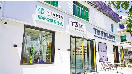 农行惠农金融服务点开进淳安下姜村农品展示馆,为当地村民提供金融服务。.jpg