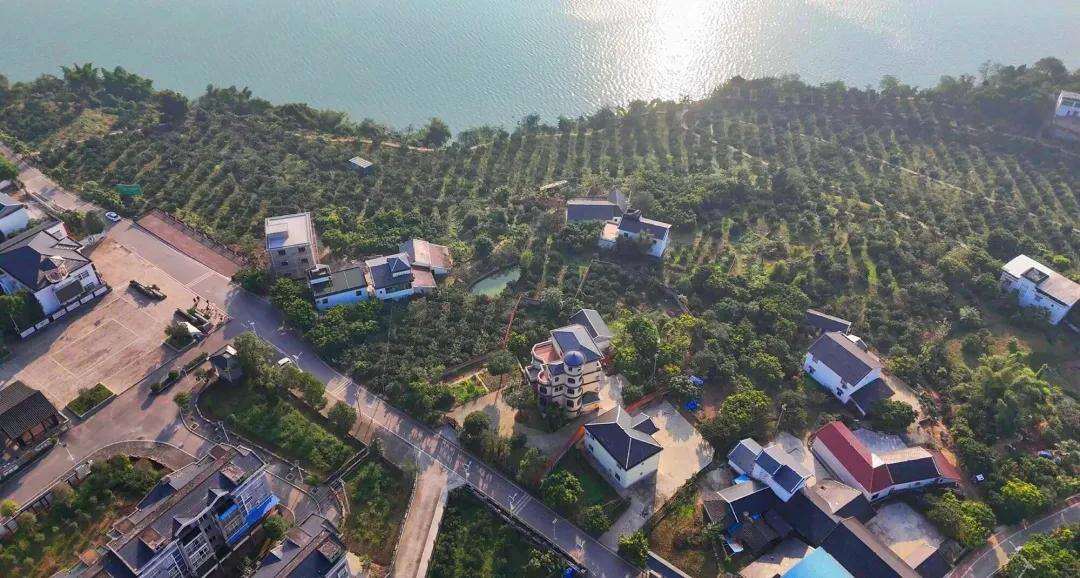 2008094770194153472.webp 图片