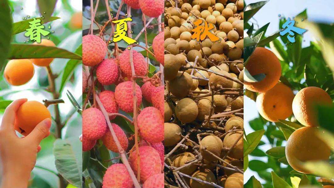 2008094770357731328.webp 图片