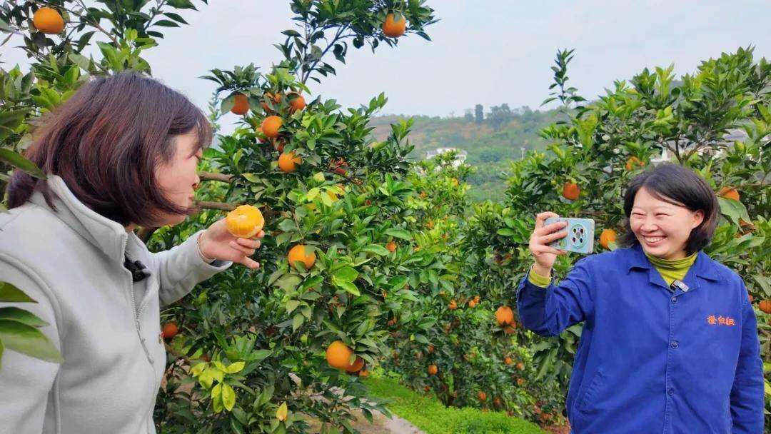 2008094770223513600.webp 图片