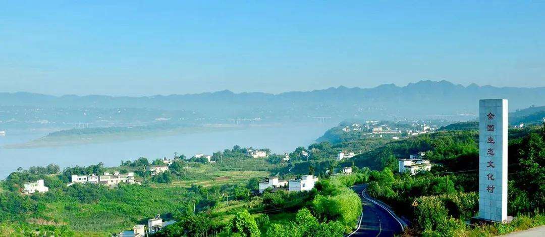 2008094770009604096.webp 图片