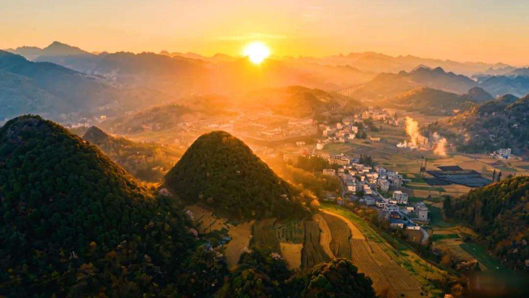 2044025418465406976.webp 圖片