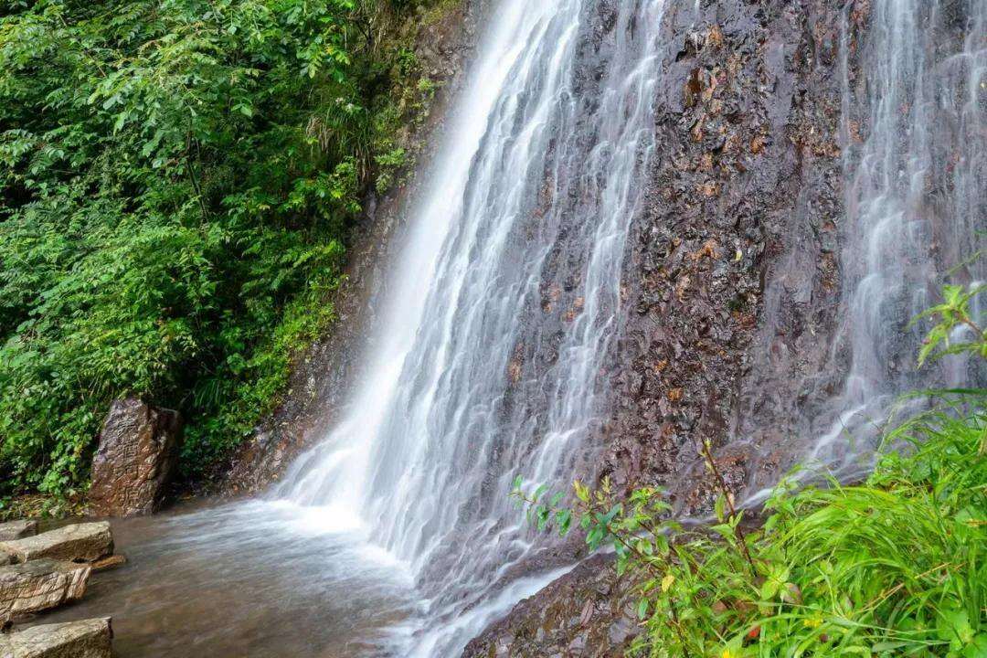 2044025418708676608.webp 圖片