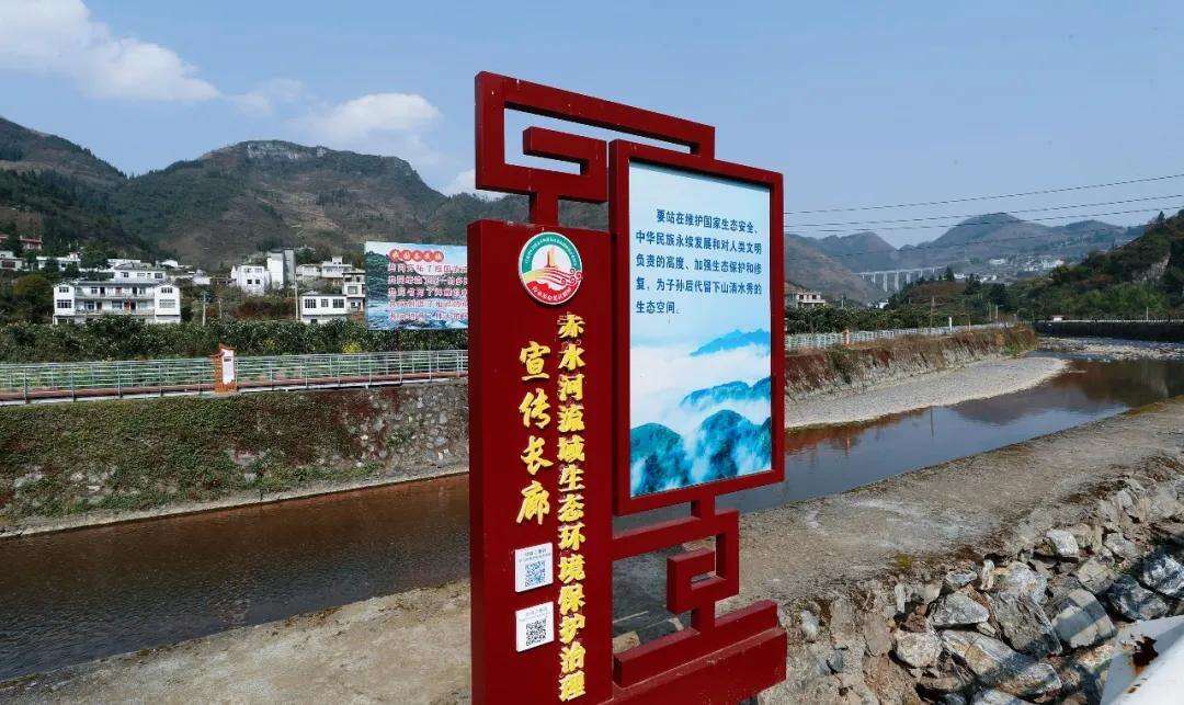 2044025419291684864.webp 圖片