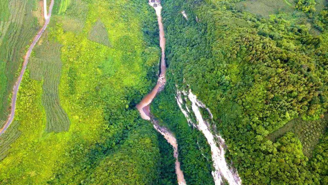 2044025419316850688.webp 圖片