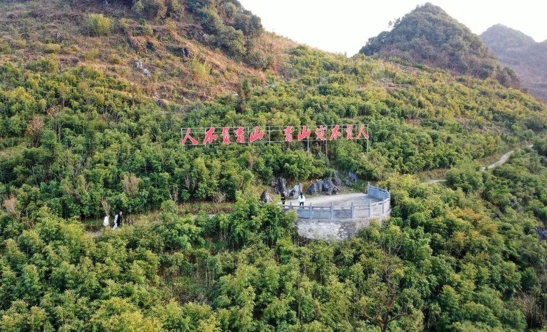 2044025419417513984.webp 圖片