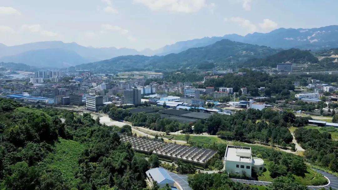 2048648674065457152.webp 图片