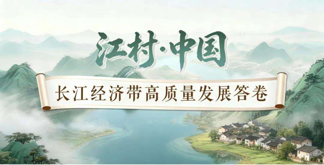 2049795849998770176.webp 图片