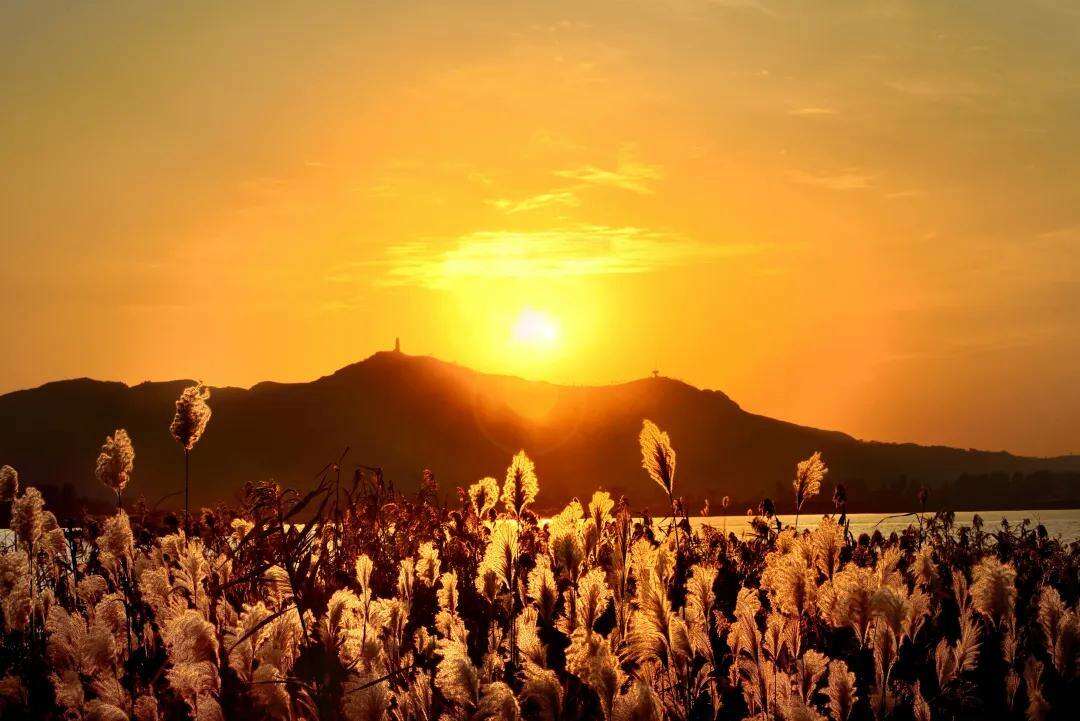 2049795849956827136.webp 图片