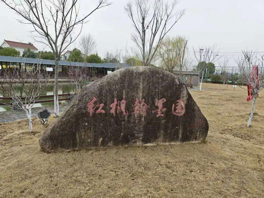 2049795850523058176.webp 图片