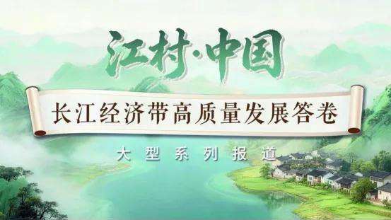 2063847248369758208.webp 图片