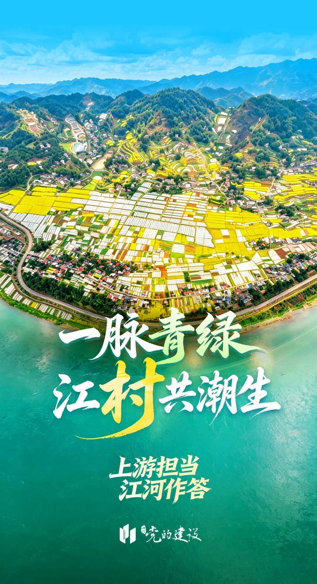 2063847248411701248.webp 图片
