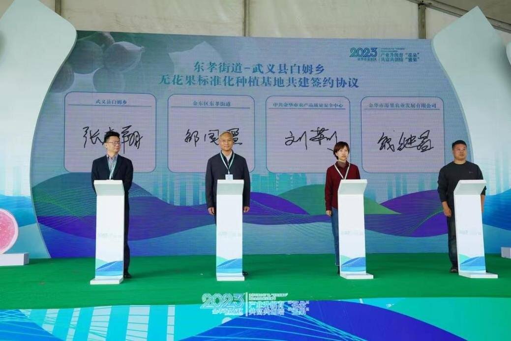 党建引领强产业 无花果飘香乡村振兴“致富路”_浙江党建网