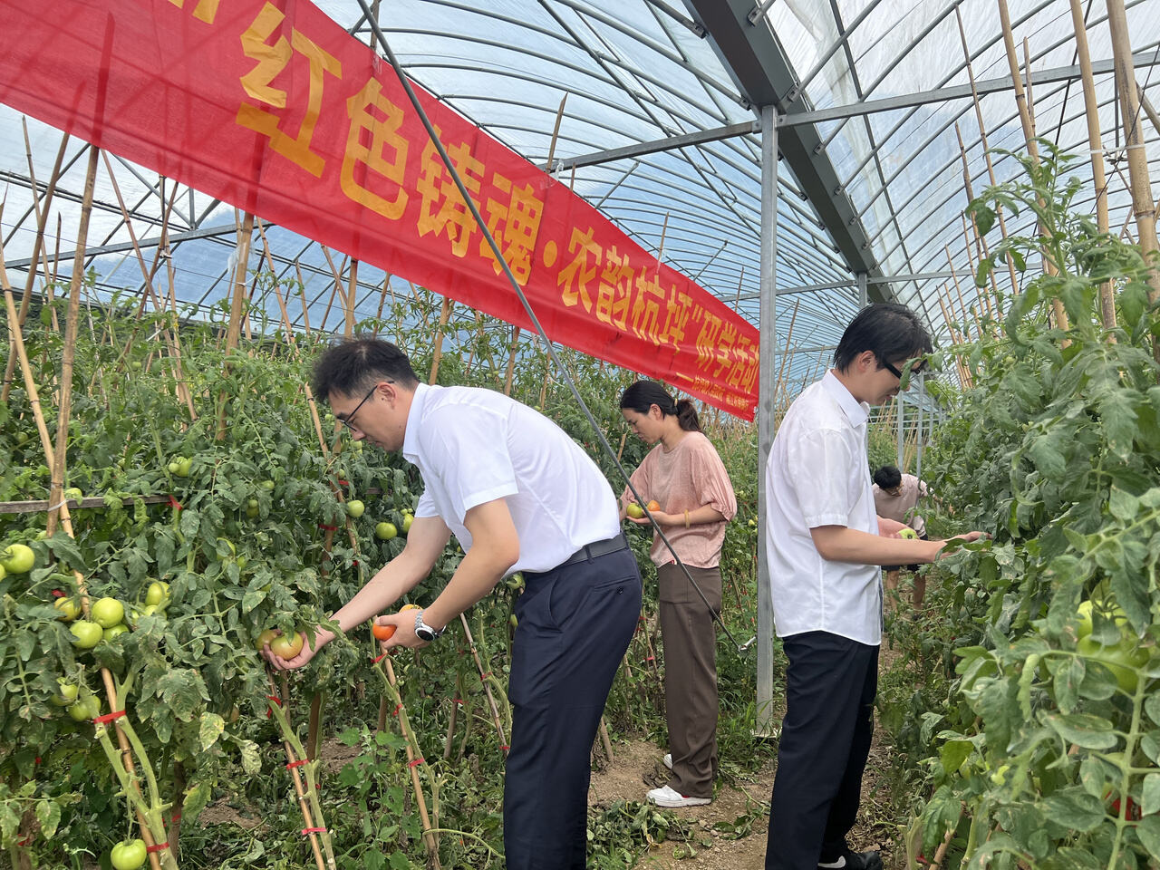 微信图片_20260821153007_26_306.jpg