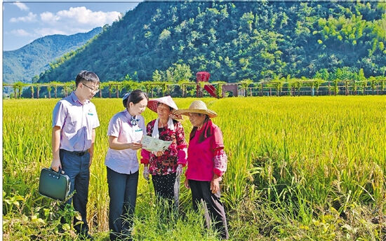 深入田间地头,为农户宣介惠农政策。.jpg